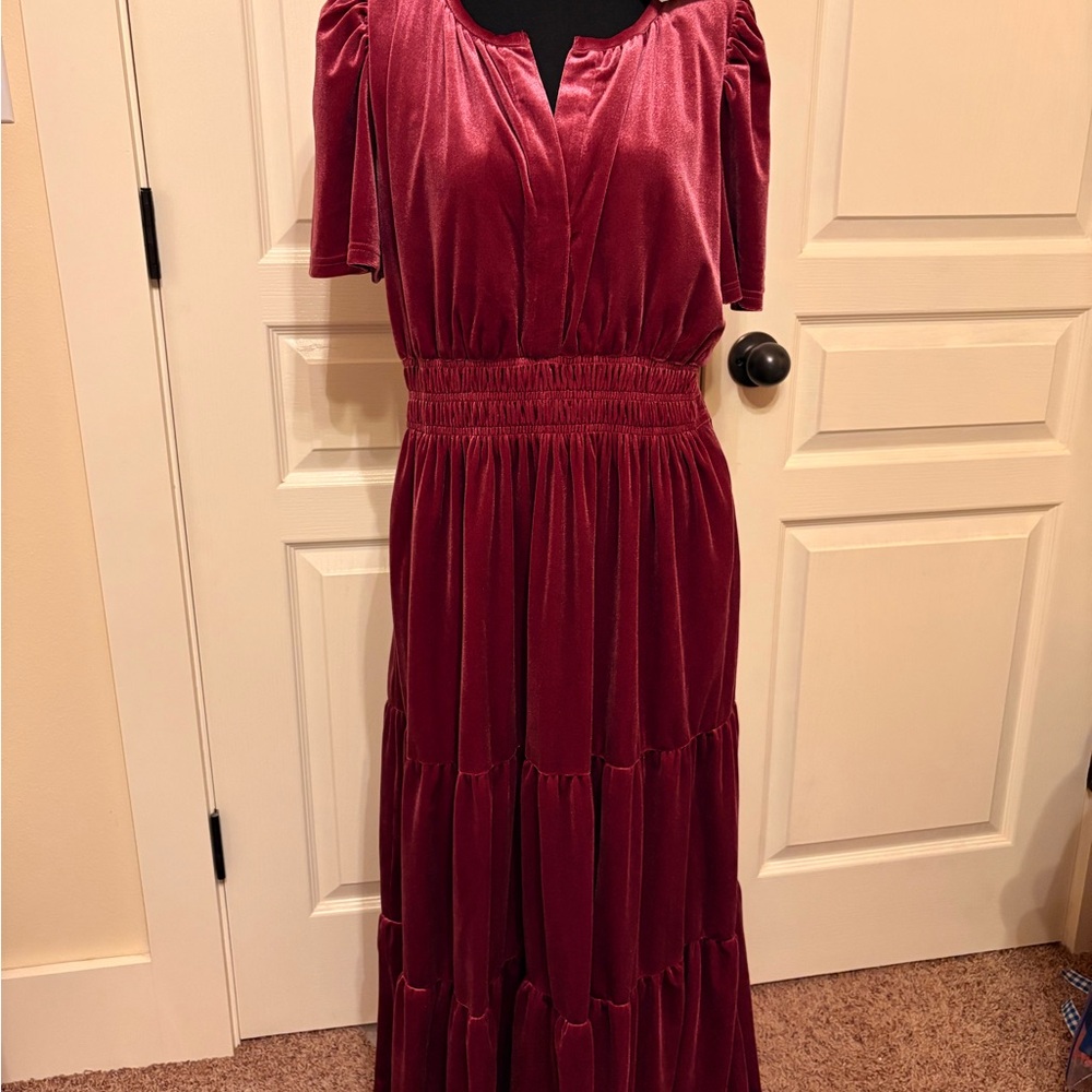 Elegant Plum colored Velvet Dress
